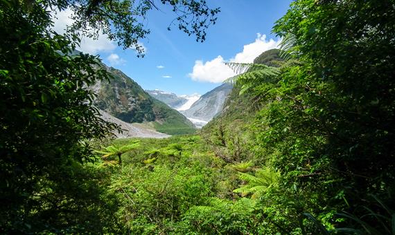 紐西蘭西海岸冰河